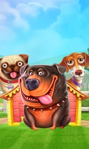 The Dog House